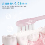 成人牙刷 B806