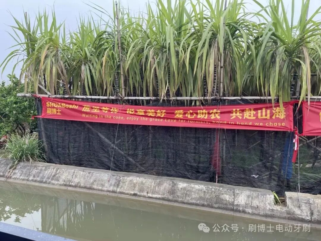 图片尺寸:1080 x 810 图片